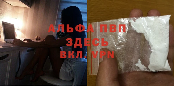 PSILOCYBIN Беломорск