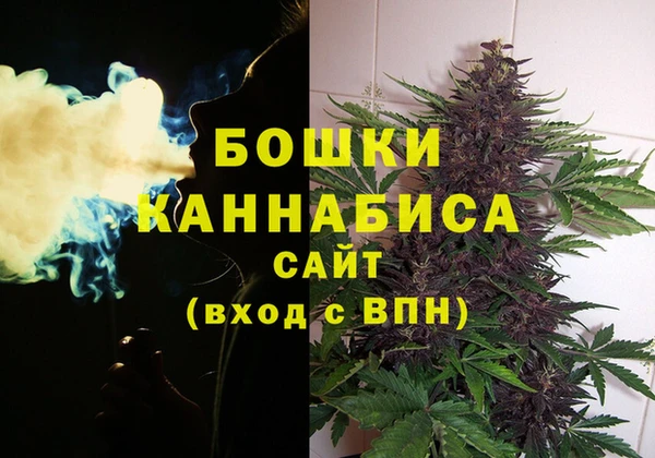 МДПВ Богородск
