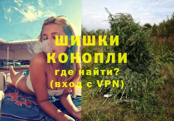спиды Богданович