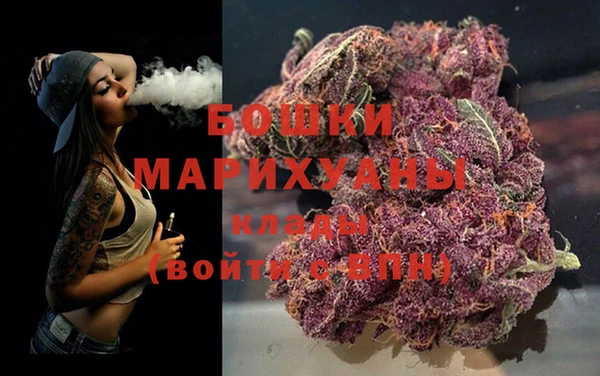 PSILOCYBIN Беломорск