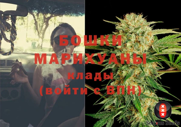 спиды Богданович