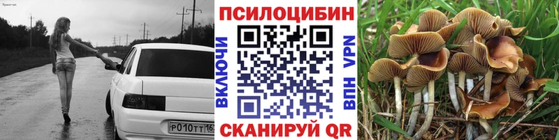 купить  сайты  даркнет Telegram  Псилоцибиновые грибы MAGIC MUSHROOMS  Белокуриха 
